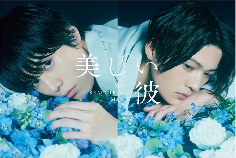 ドラマ「美しい彼」DVD-BOX