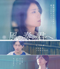 映画「風の奏の君へ」Blu-ray
