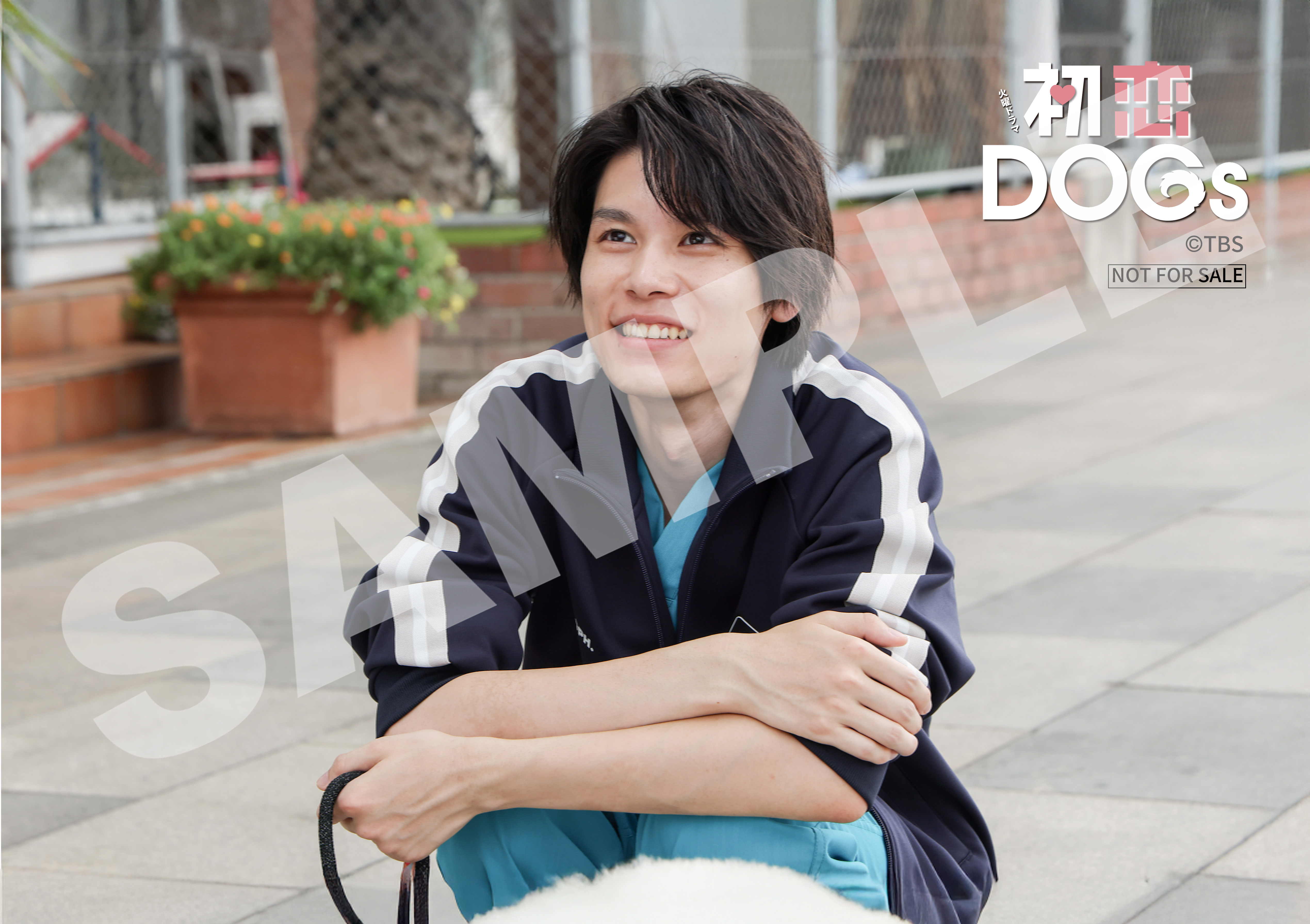 初恋DOGs ポスター LINEマンガ on X: 