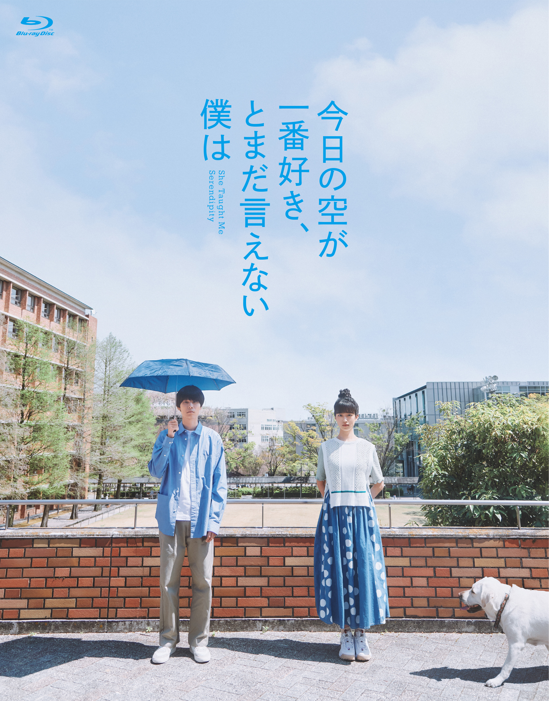 映画「今日の空が一番好き、とまだ言えない僕は」Blu-ray