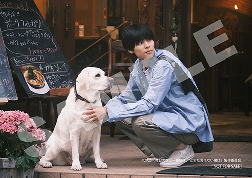 映画「今日の空が一番好き、とまだ言えない僕は」DVD