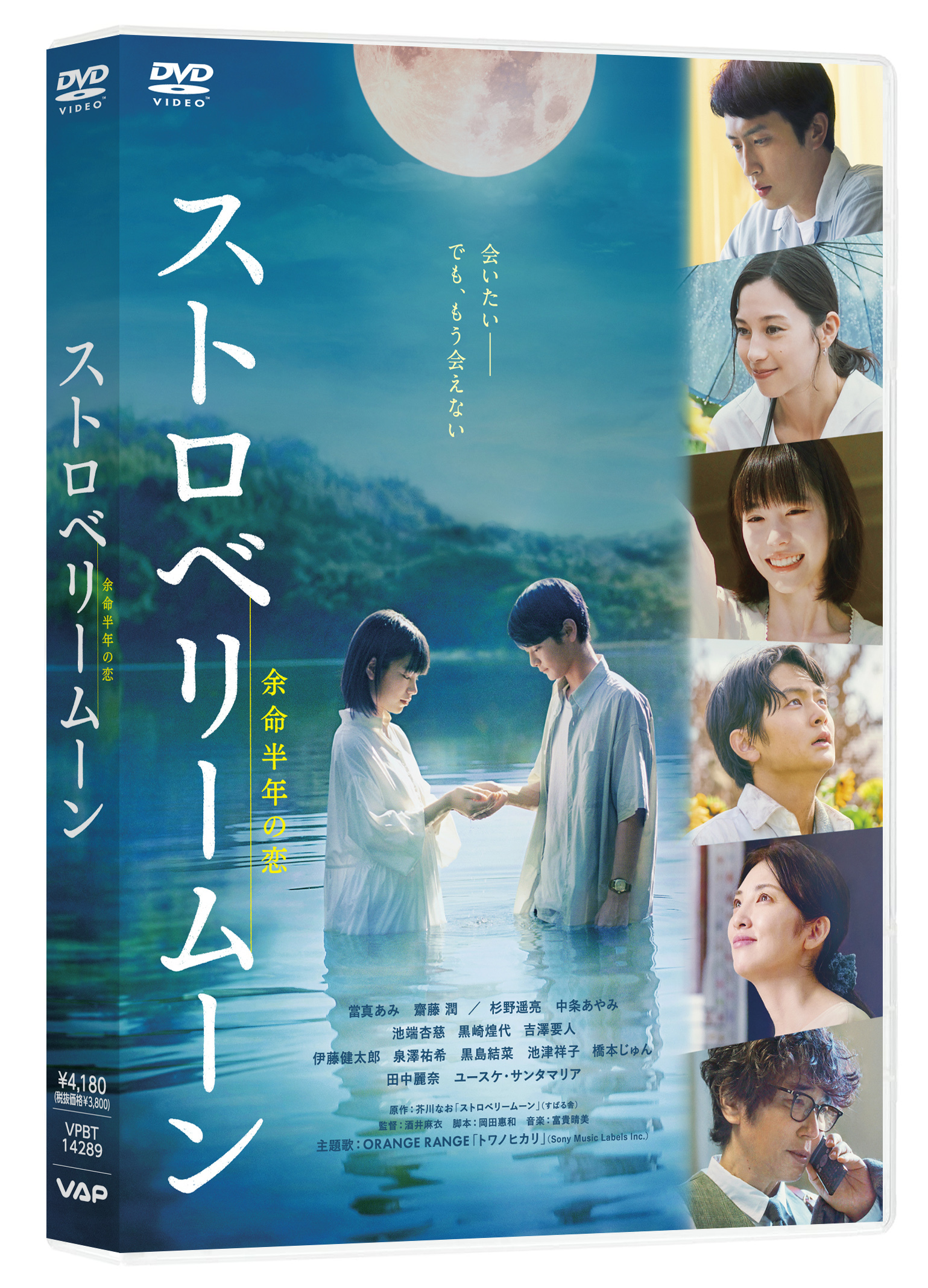 映画『ストロベリームーン 余命半年の恋』DVD