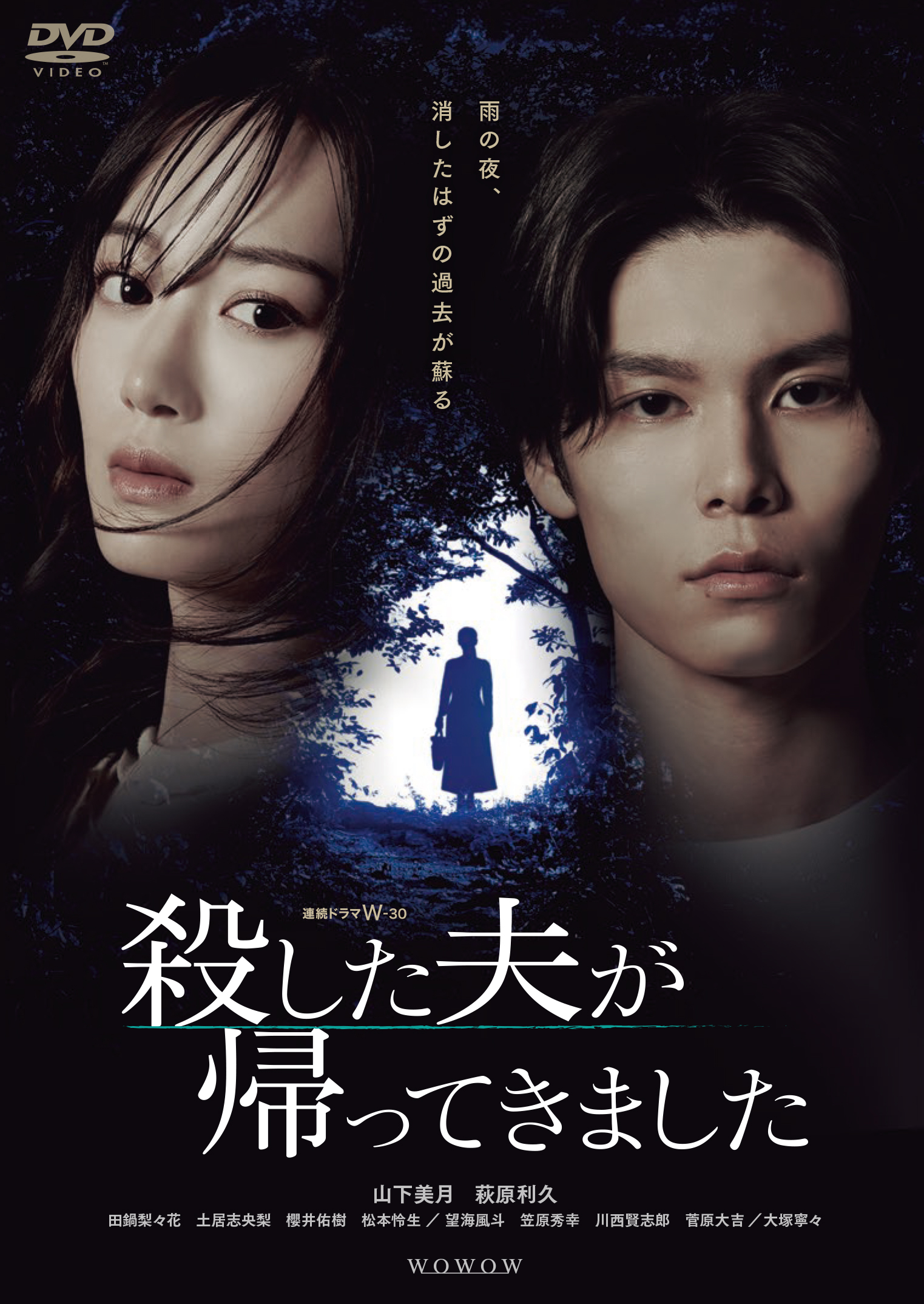 連続ドラマW-３０「殺した夫が帰ってきました」　DVD-BOX