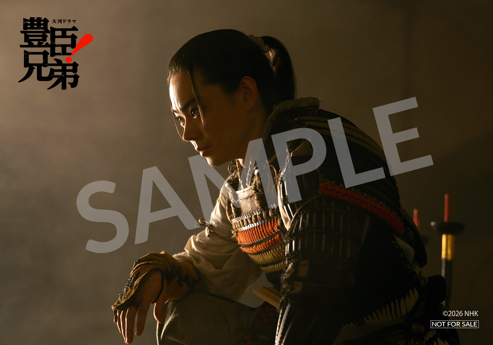 大河ドラマ「豊臣兄弟! 完全版 第壱集」DVD-BOX