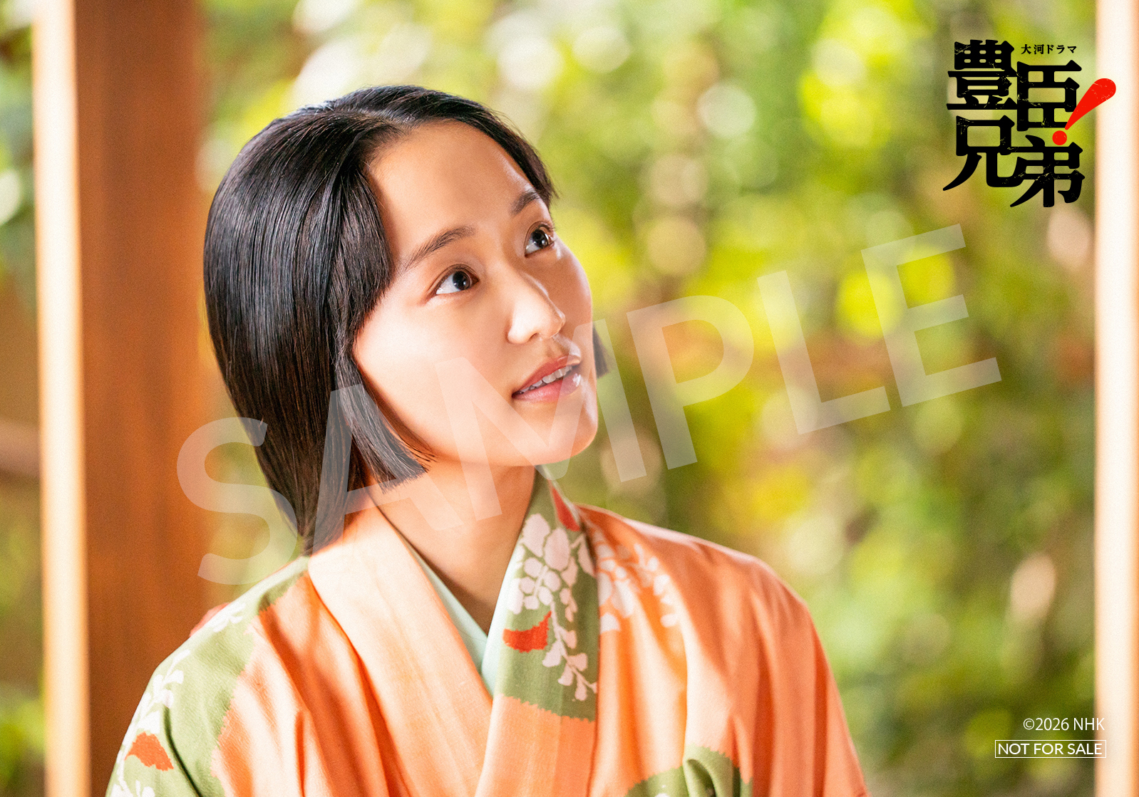 大河ドラマ「豊臣兄弟! 完全版 第壱集」DVD-BOX | 菅井友香 | TopCoat