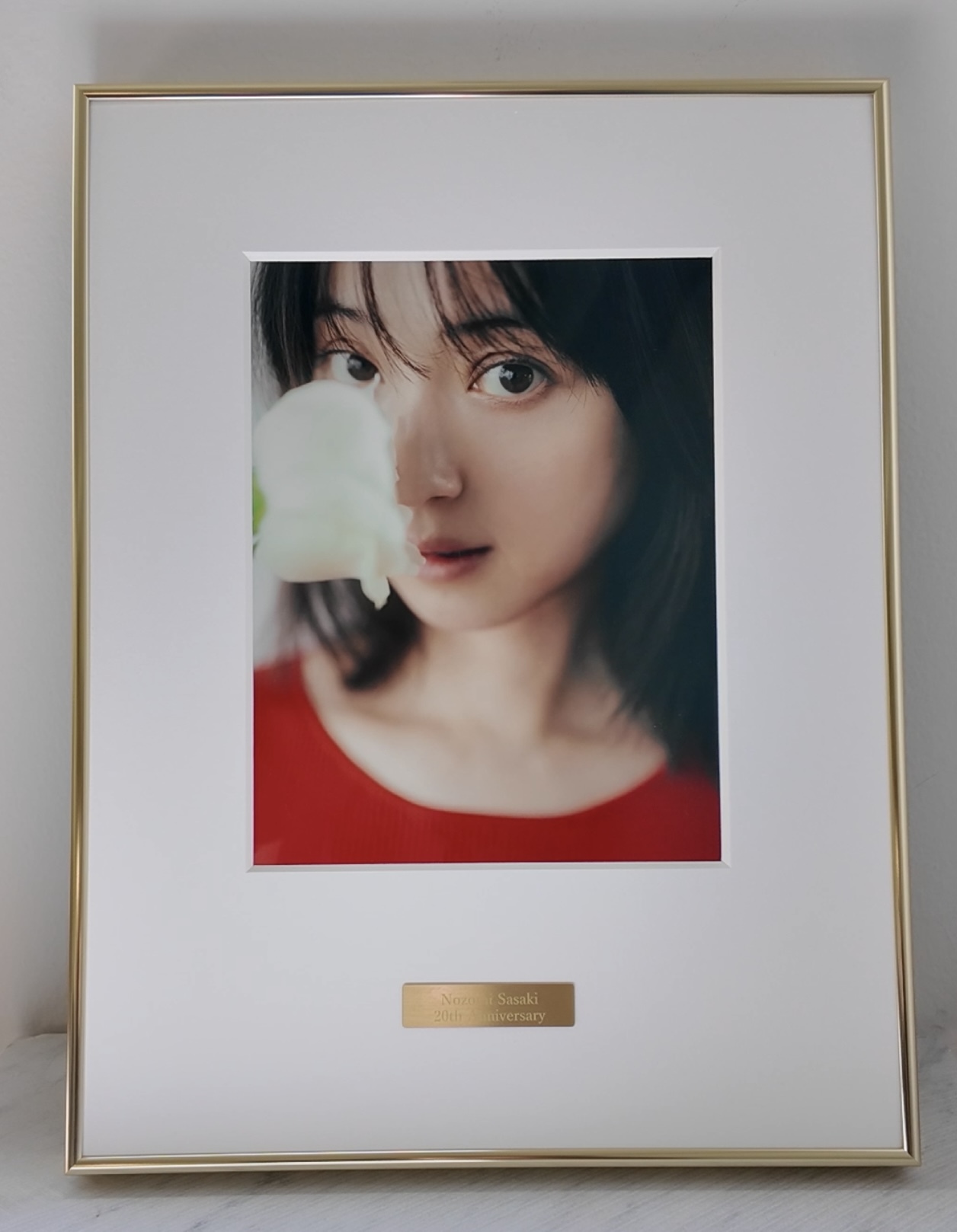 【先着限定10部・特典付き】「NOZOMI SASAKI MUSEUM COLLECTION　Aタイプ」
